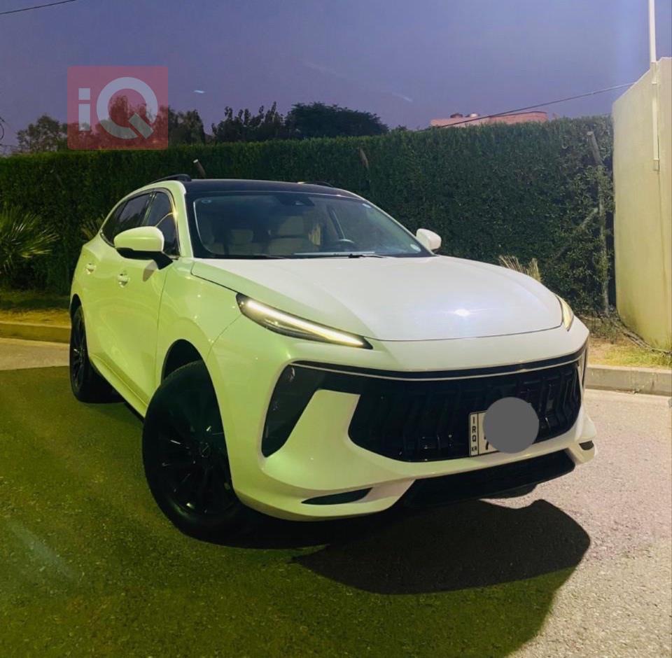 Dongfeng T5 EVO